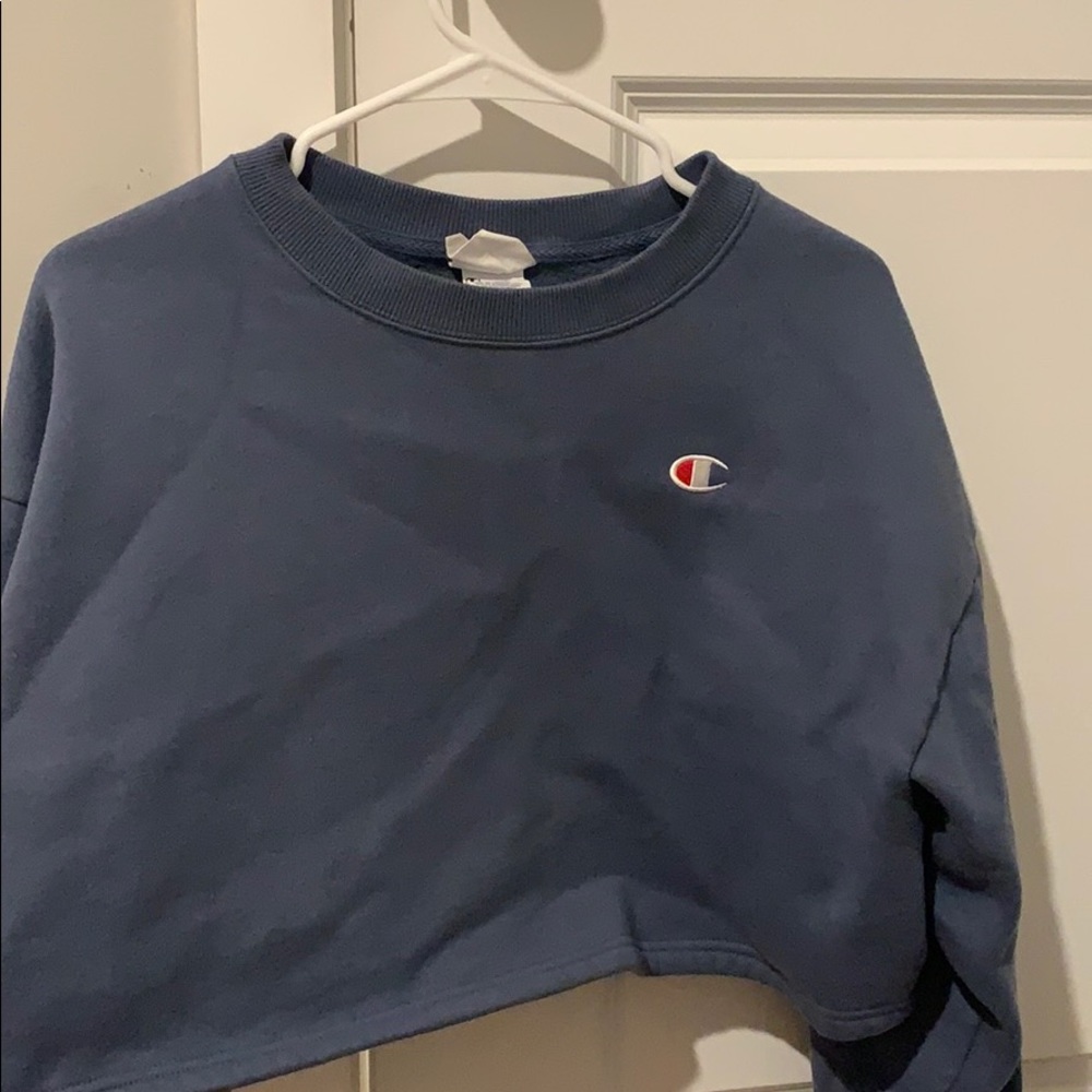 Champion Sweater